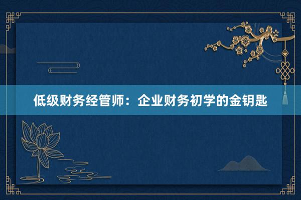 低级财务经管师：企业财务初学的金钥匙