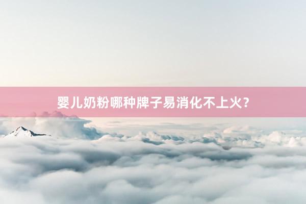 婴儿奶粉哪种牌子易消化不上火？