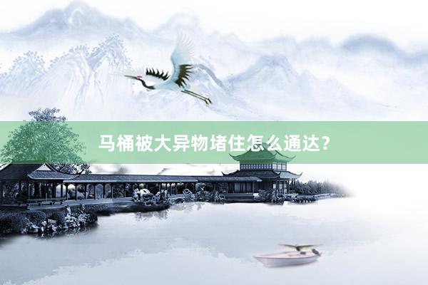 马桶被大异物堵住怎么通达？