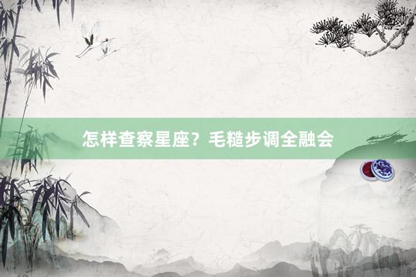 怎样查察星座？毛糙步调全融会